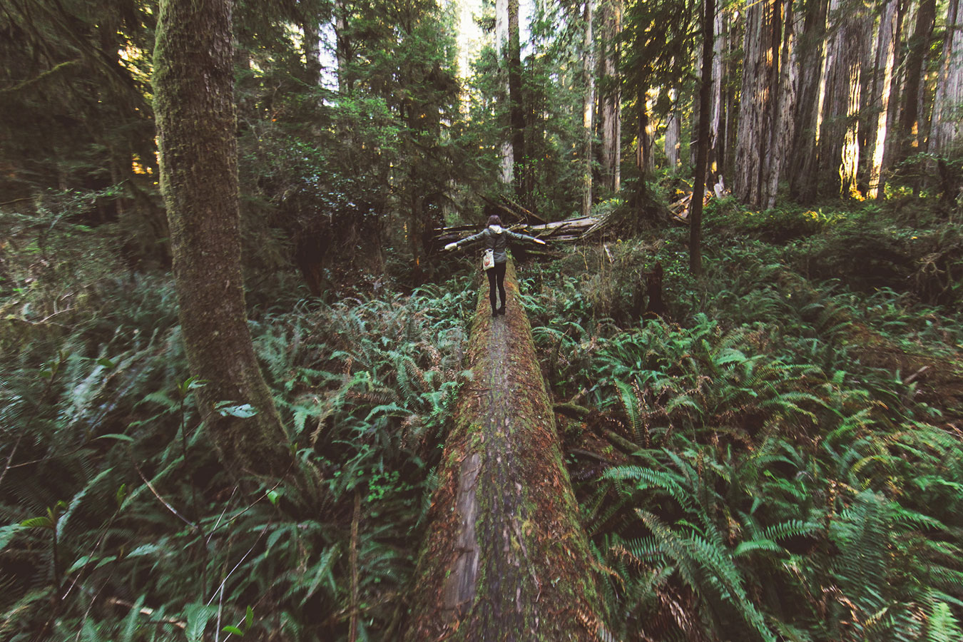 Finding balance