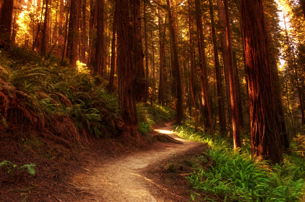James Irvine Trail