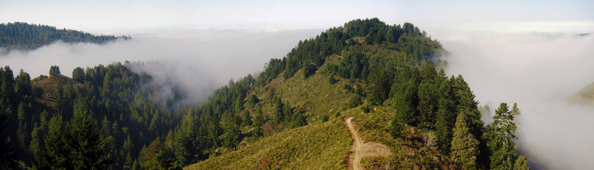 North Ridge Trail