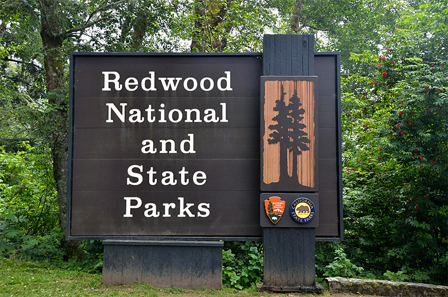 Entering the park